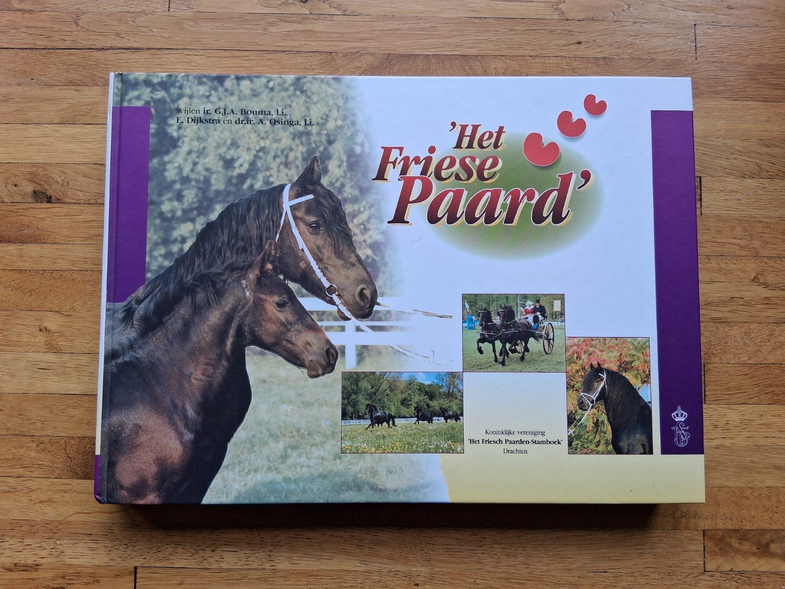 Het friese paard een prachtig verzamelwerk informatie foto's, Ophalen of Verzenden, Zo goed als nieuw, Paarden of Pony's