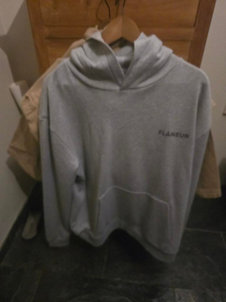 Nieuwe Flaneur hoodie maat XL, Kleding | Heren, Truien en Vesten, Ophalen of Verzenden, Nieuw, Maat 56/58 (XL), Grijs