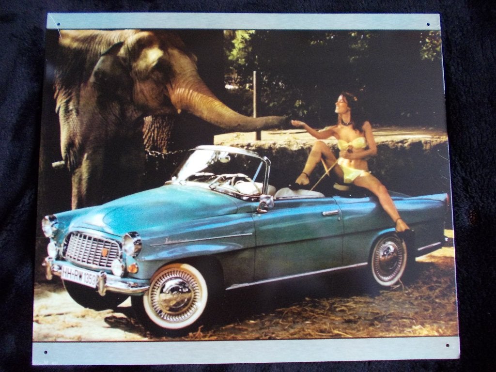 Skoda Felicia Cabrio, Ophalen of Verzenden, Nieuw, Reclamebord