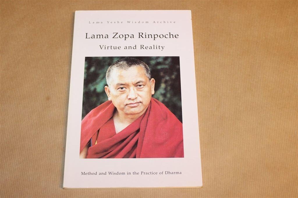 Dharma Praktijk — Boeddhistische Wijsheid & Meditatie [EN], Ophalen of Verzenden, Gelezen, Boeddhisme