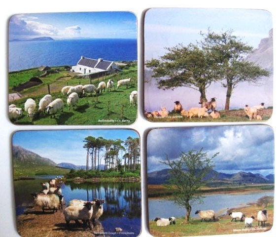 4 Hoogwaardige Onderzetters Van Kurk Schapen Van Ierland, Kurk, Met opbergdoos, Ophalen of Verzenden, Overige typen