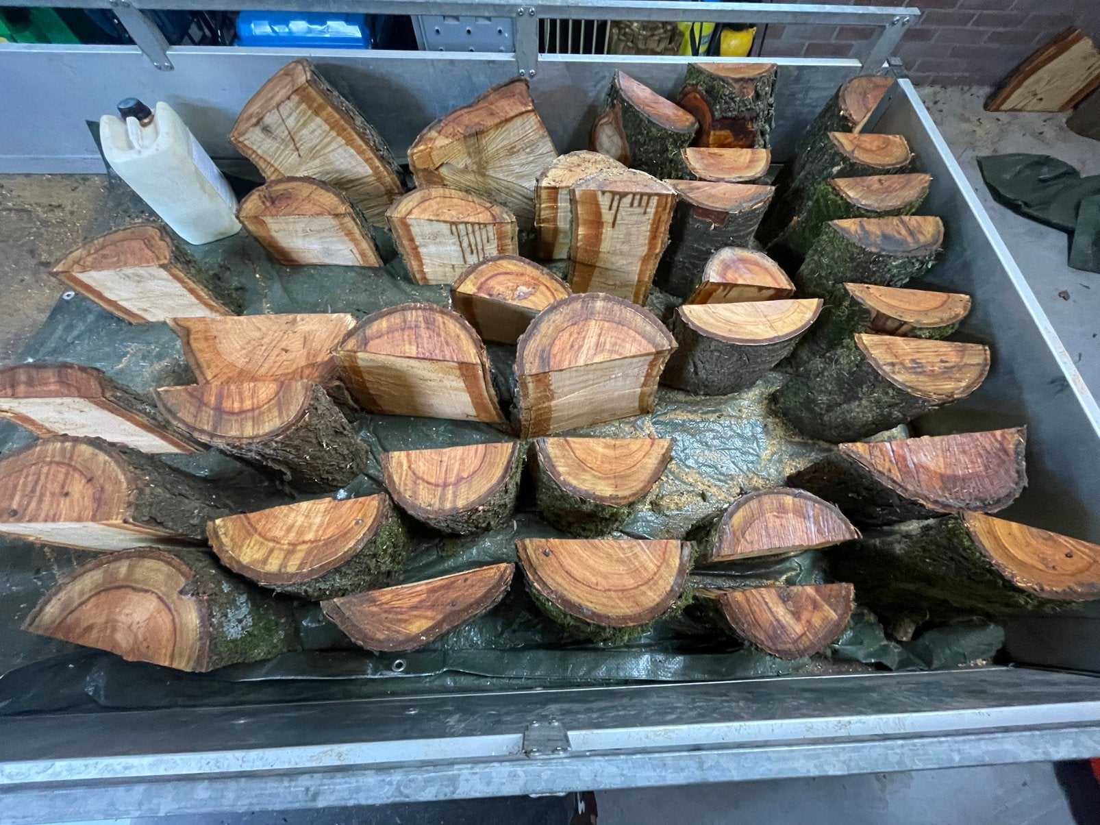 Prachtig Kersenhout voor houtdraaiwerk (schalen), Ophalen, Nieuw, Hout