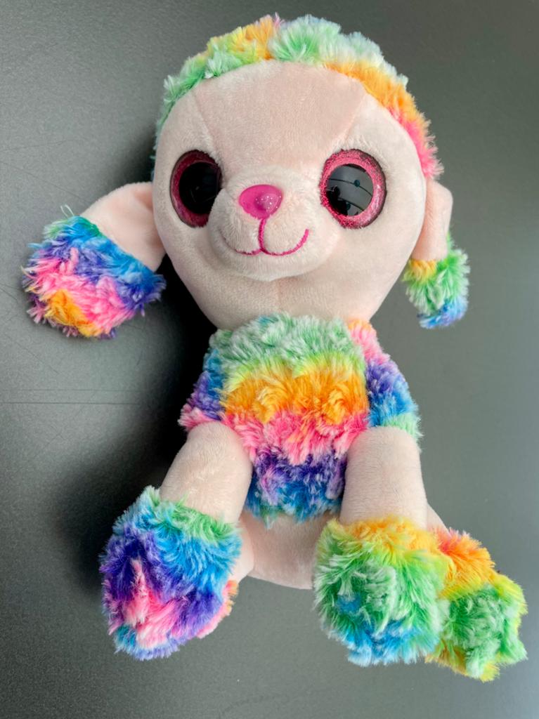 TE KOOP: kleurrijke poedel knuffel 25 cm ZGAN, Zo goed als nieuw, Middelgroot (20 tot 80 cm), Meerkleurig, Hond