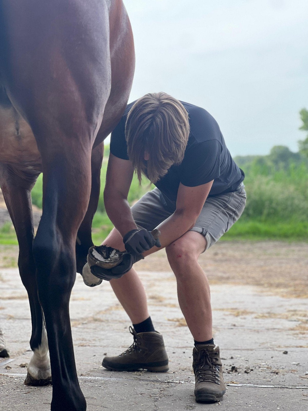 De Betuwse bekapper, Diensten en Vakmensen, Dieren | Paarden | Verzorging, Oppas en Les, Verzorging of Verzorgpony's