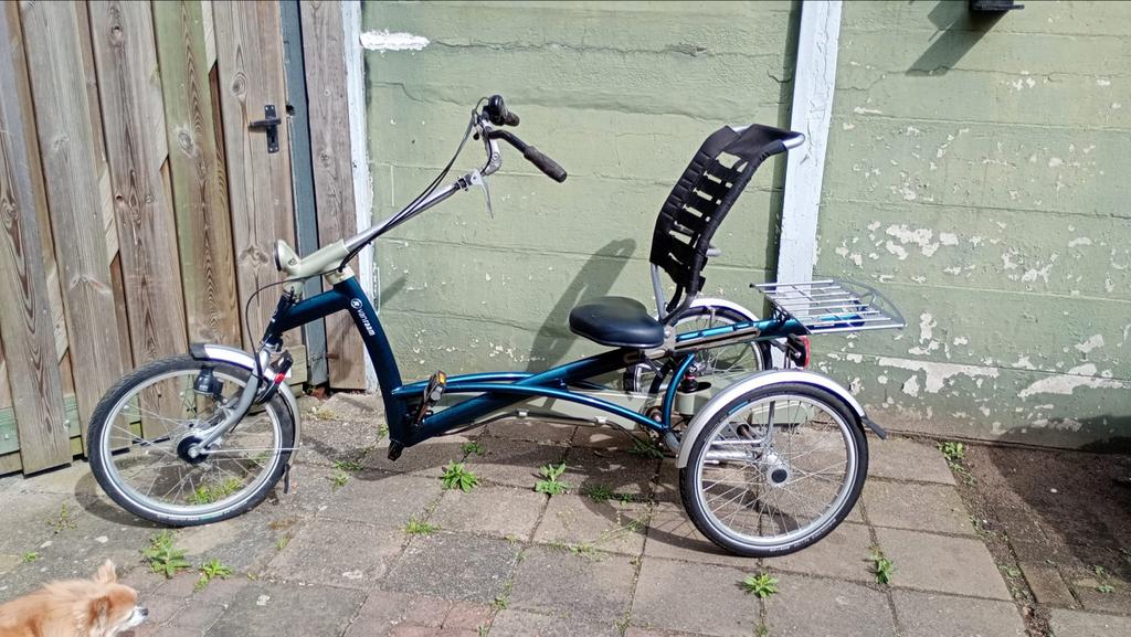 Van Raam driewielfiets - Comfortabel en stabiel, Fietsen en Brommers, Fietsen | Driewielfietsen, Gebruikt, Ophalen