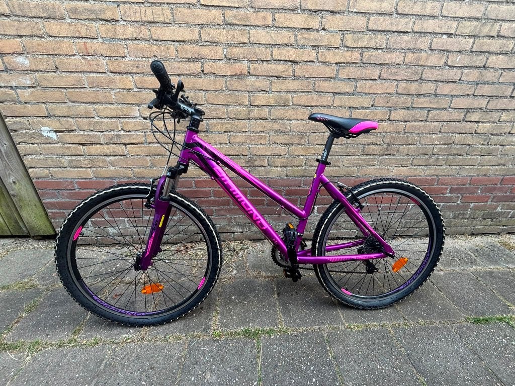 Mountainbike, Ophalen, Gebruikt, Dames, Overige merken