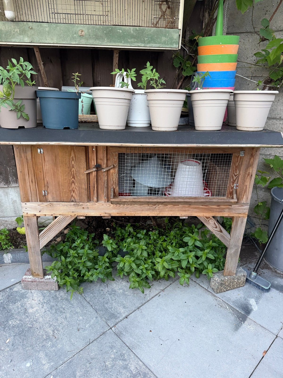 Konijnenhok, Dieren en Toebehoren, Ophalen, Minder dan 75 cm, Kooi, Minder dan 60 cm