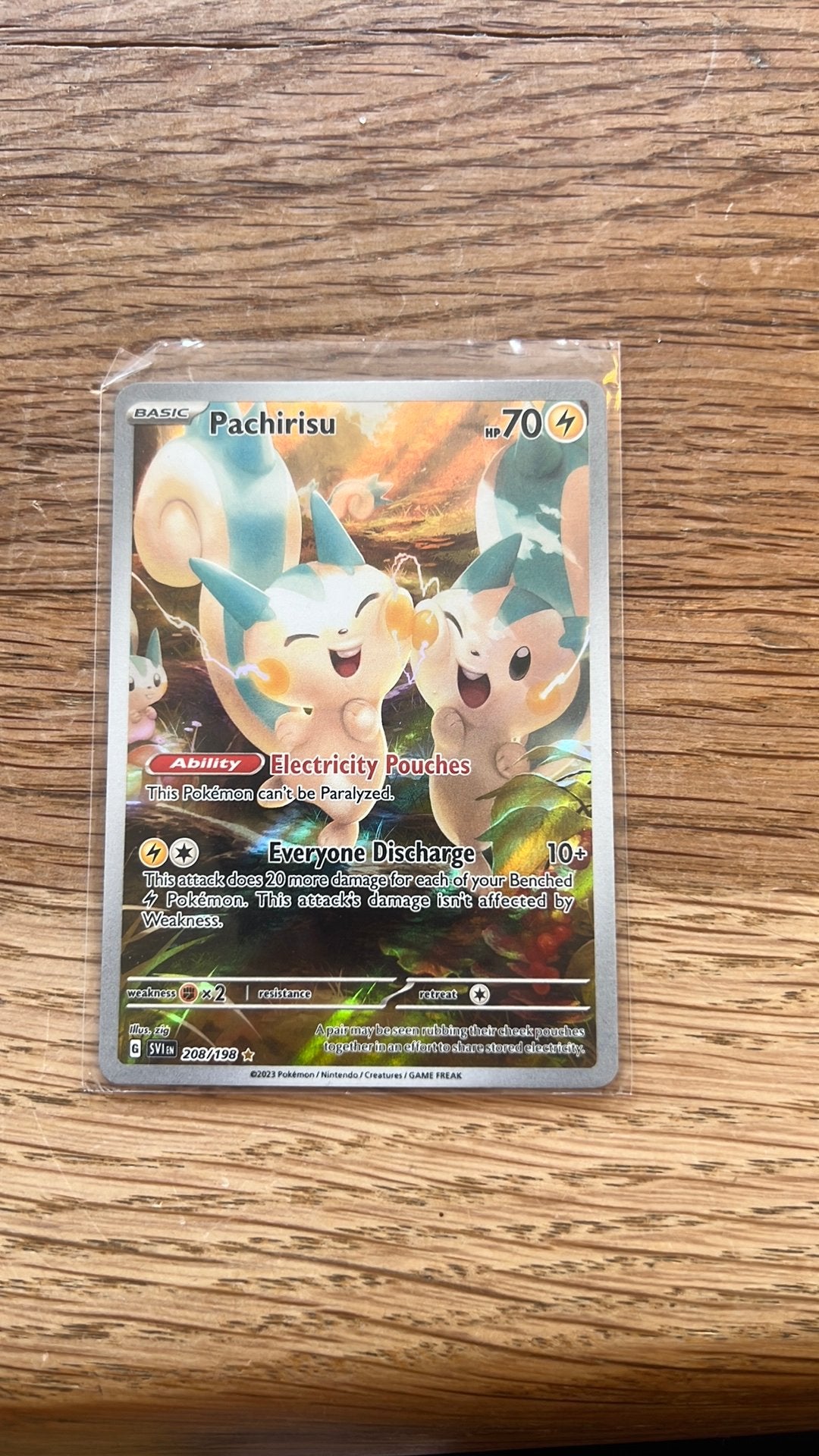 Pachirisu pokemon kaart, Ophalen of Verzenden, Nieuw, Losse kaart