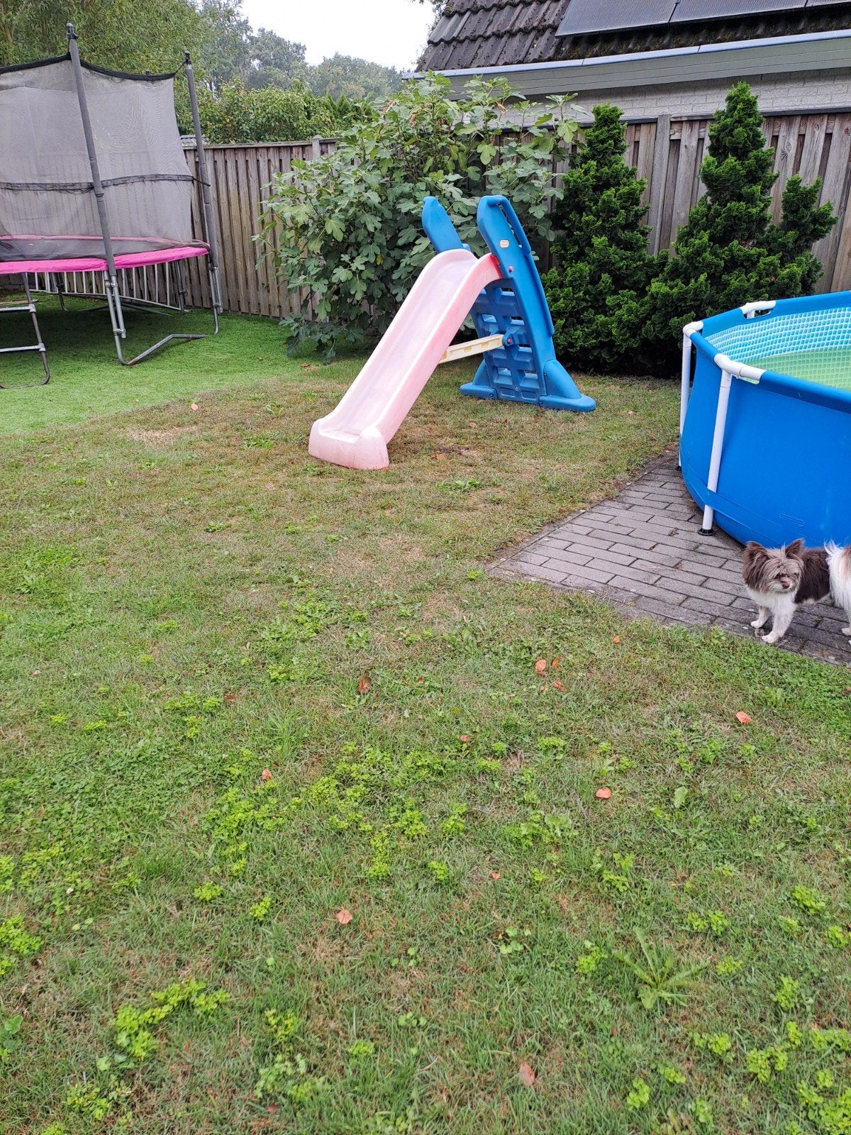 Gratis ophalen: gebruikte glijbaan (kleine beschadiging), Ophalen of Verzenden, Gebruikt
