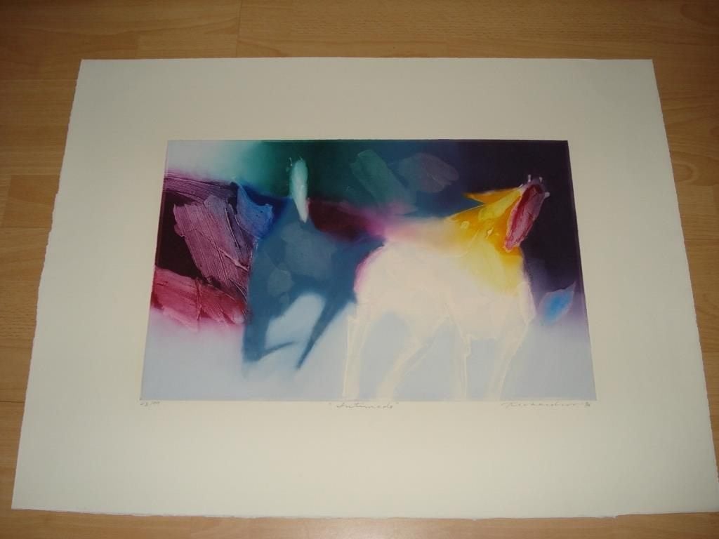 Jean Richardson, kleurenets, [titel: Intimado], Antiek en Kunst, Ophalen of Verzenden
