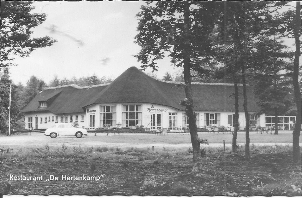 Ansichtkaart Restaurant "De Hertenkamp" Epe (Vel), Ophalen of Verzenden, 1960 tot 1980, Ongelopen, Gelderland