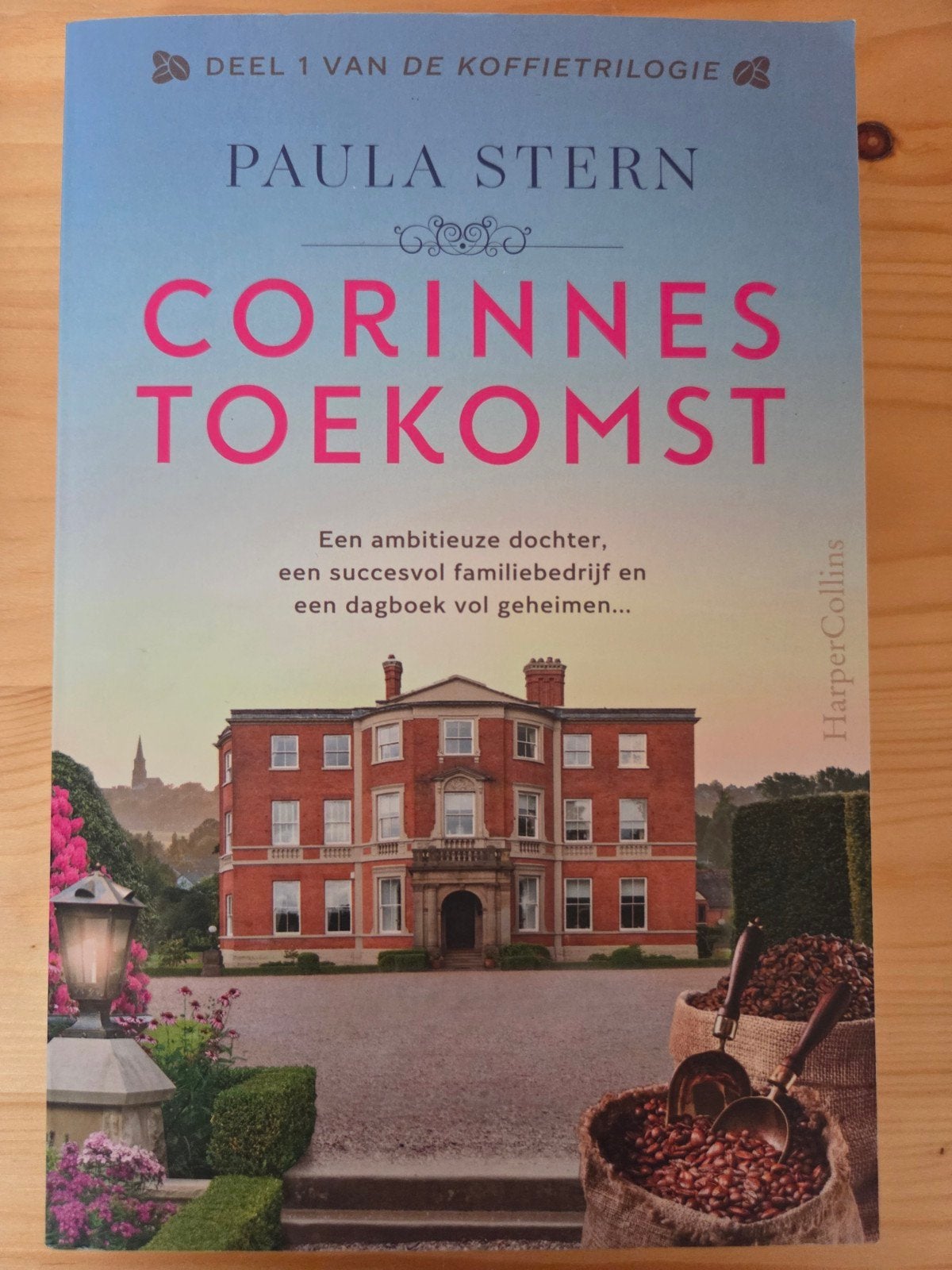 Paula Stern - Corinnes toekomst, Boeken, Ophalen of Verzenden, Gelezen, Paula Stern
