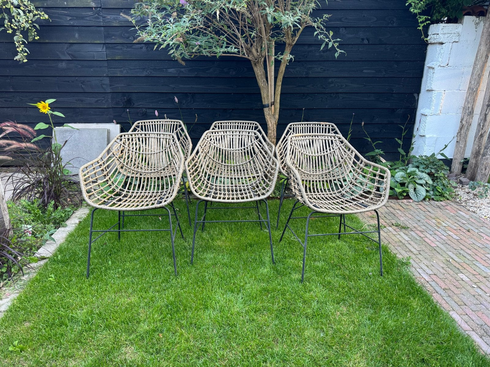 Set van 6 rotan tuinstoelen met metalen onderstel, Tuin en Terras, Tuinstoelen, Ophalen, Zo goed als nieuw, Rotan