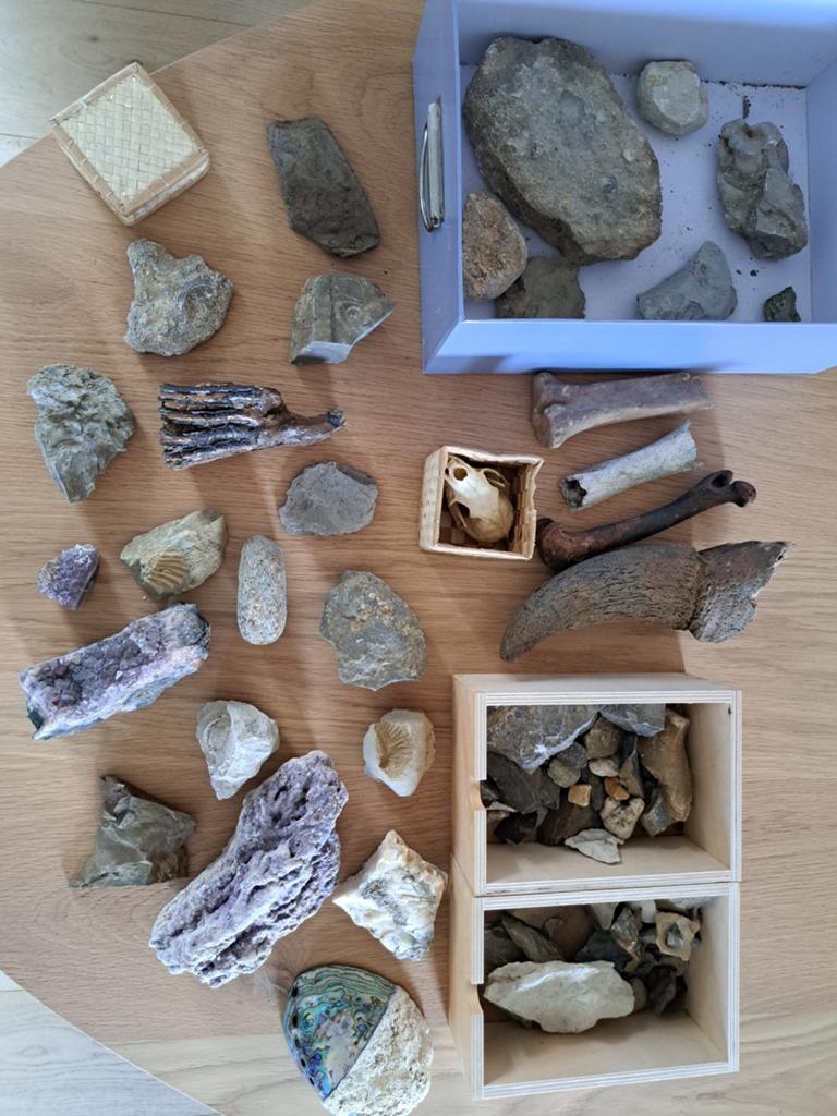 Mooie vezameling fossielen en mineralen, Ophalen of Verzenden