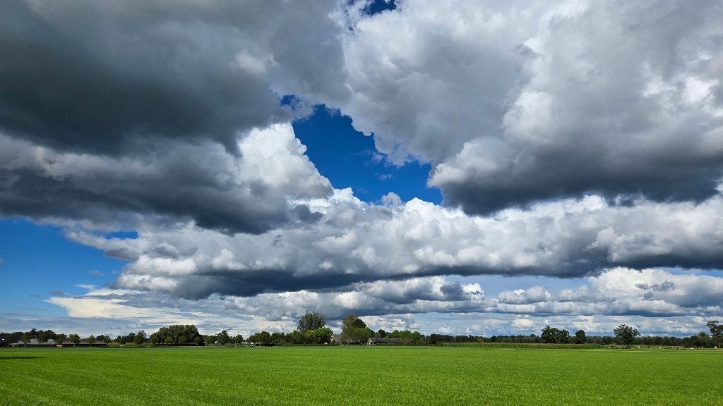 Cursus fotograferen met je smartphone, Diensten en Vakmensen, Fotografen