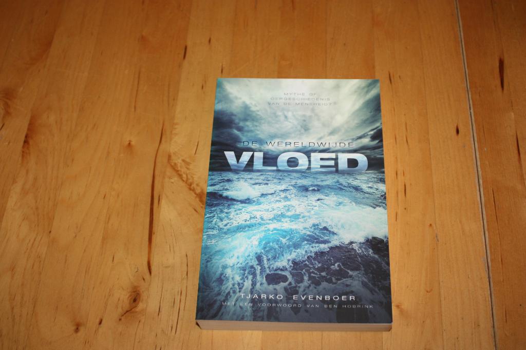 De wereldwijde vloed, Tjarko Evenboer, Boeken, Ophalen of Verzenden, Gelezen, Tjarko Evenboer, Christendom | Protestants