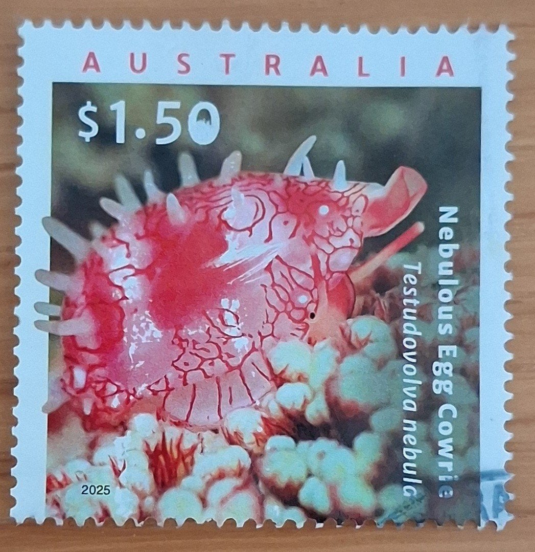 AUSTRALIË 2025 : LIVING SEASHELL SHEET, Ophalen of Verzenden