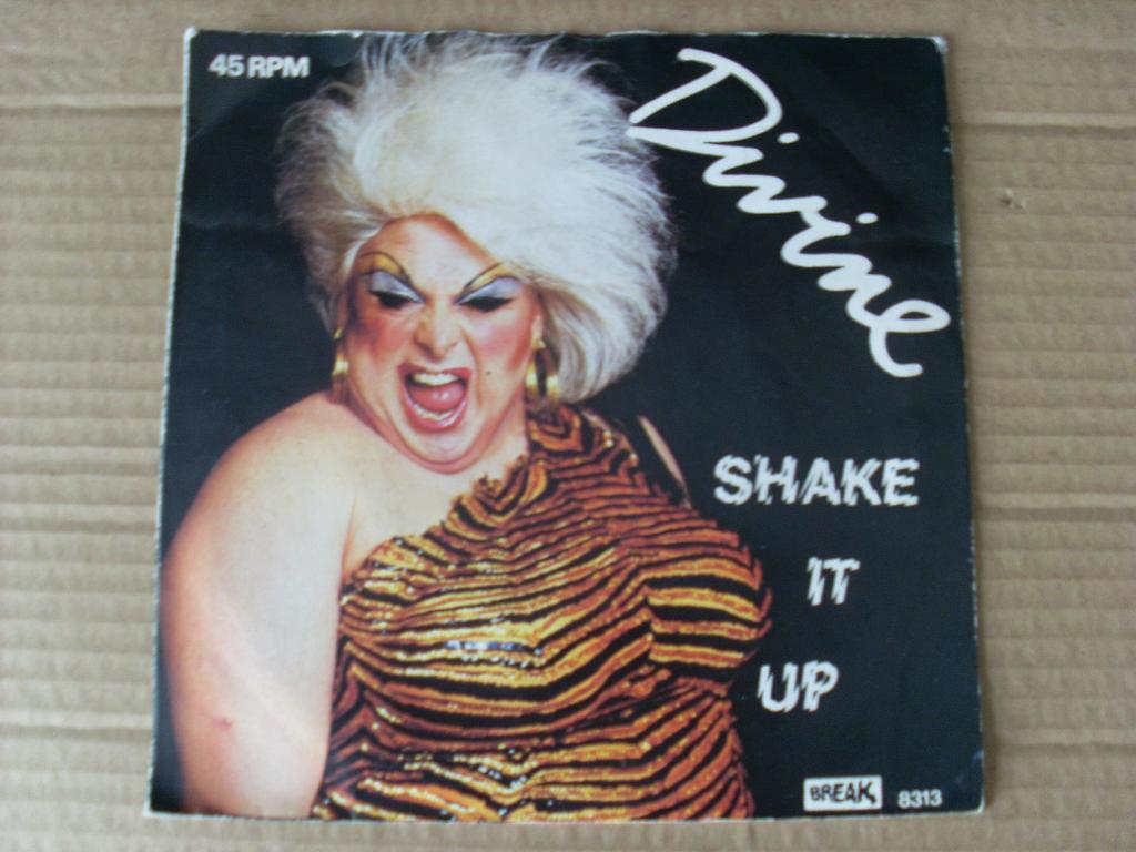 Divine - Shake It Up ---3764, Fotohoes, Verzenden, Gebruikt, Pop