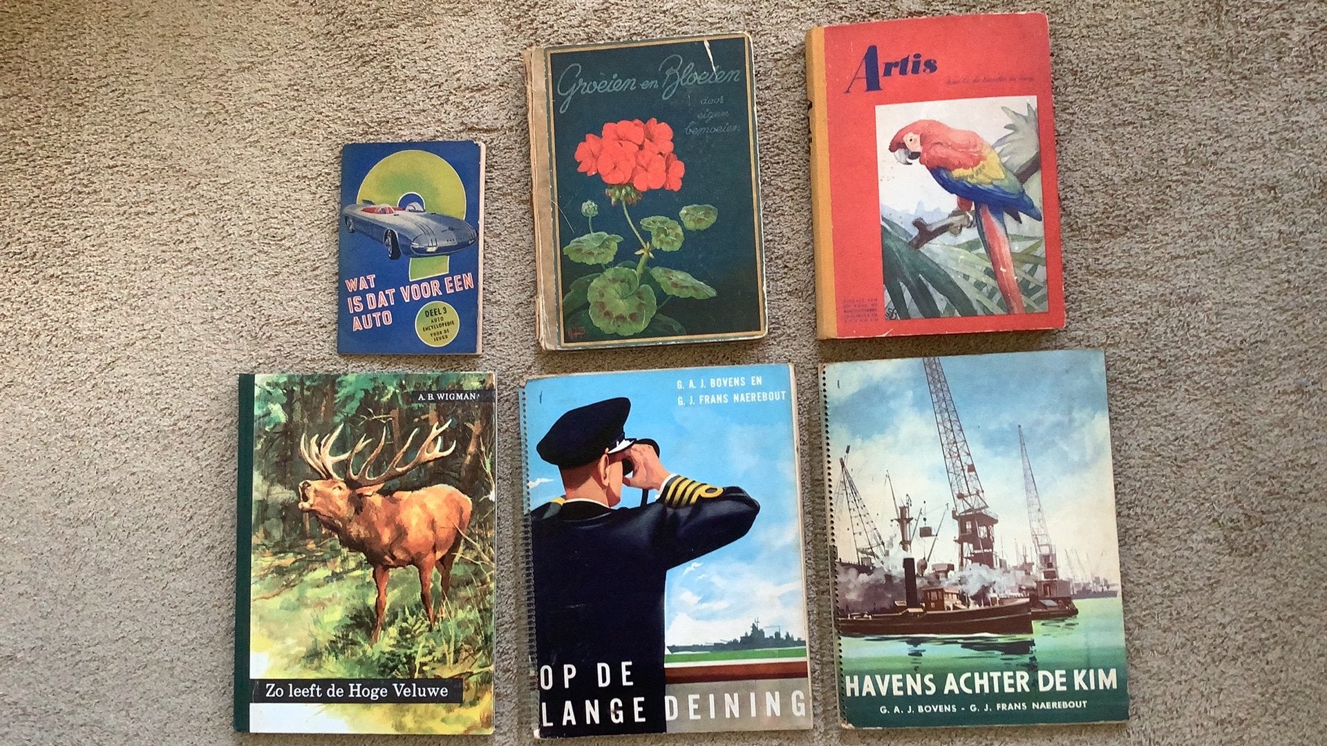 6 plaatjesalbums, diverse plaatjes missen: Artis - Veluwe -, Boeken, Ophalen of Verzenden, Gelezen, Diverse schrijvers, Plaatjesalbum