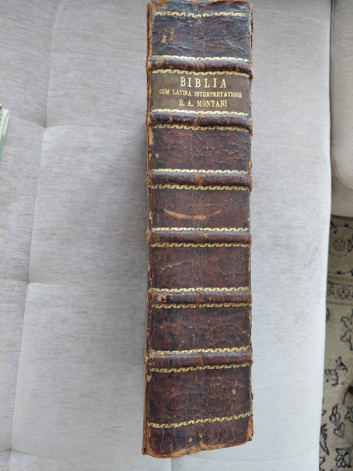 Polyglot bible  1657, Benedicti Ariae Montani, Antiek en Kunst, Antiek | Boeken en Bijbels, Ophalen of Verzenden