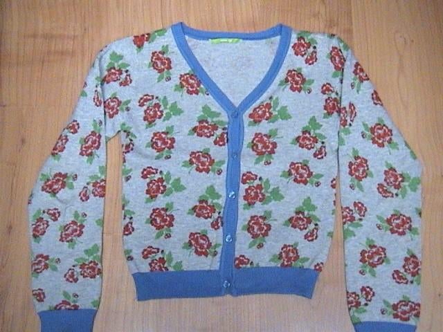 HEMA mooi grijs vest met rode / groene rozen maat XXS / 128, Gebruikt, Meisje, Trui of Vest, Ophalen of Verzenden