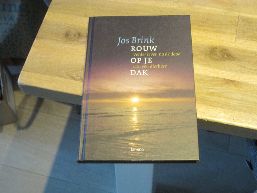 Jos Brink - Rouw: Verder leven na de dood van een dierbare, Boeken, Jos Brink, Ophalen of Verzenden, Zo goed als nieuw, Overige onderwerpen