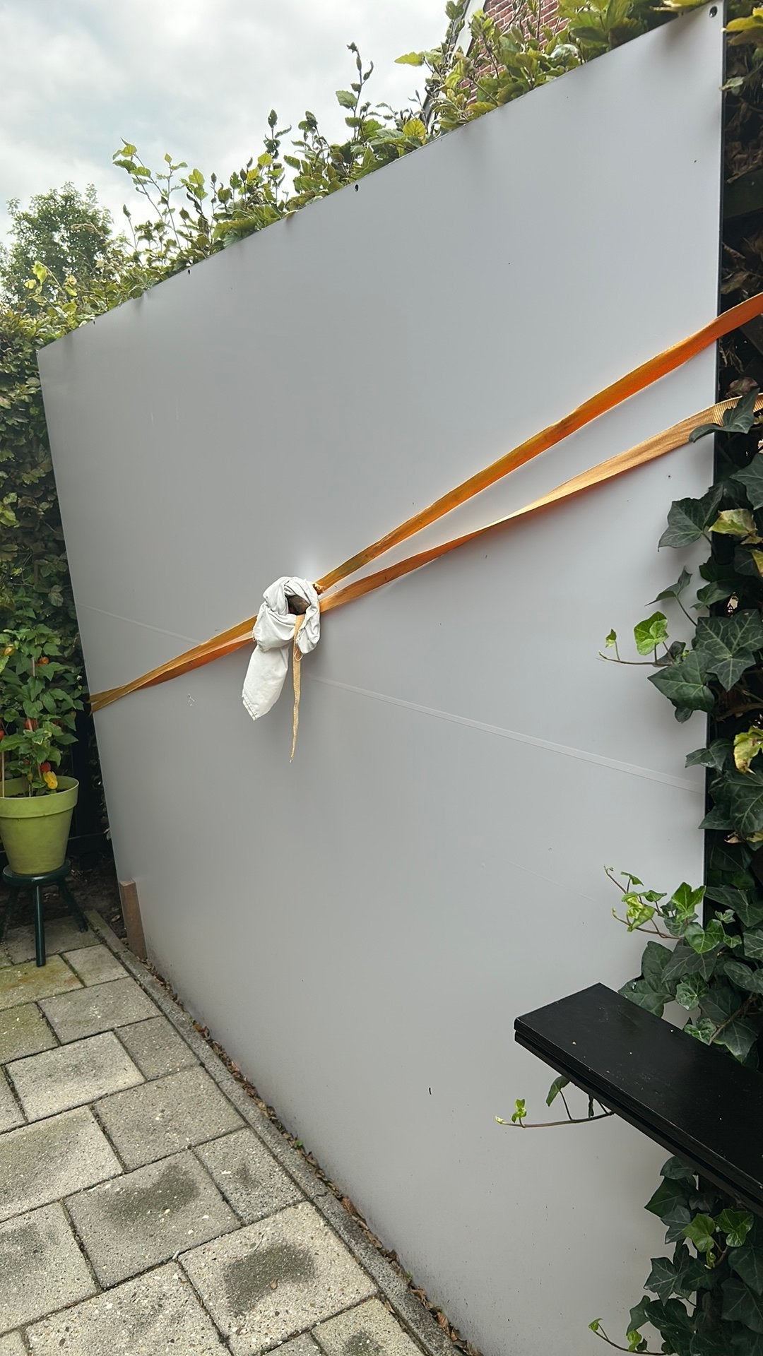 1 gevelplaat, (sandwich plaat) kunststof plaat, Doe-het-zelf en Verbouw, Ophalen, Nieuw, Overige materialen, Minder dan 20 mm
