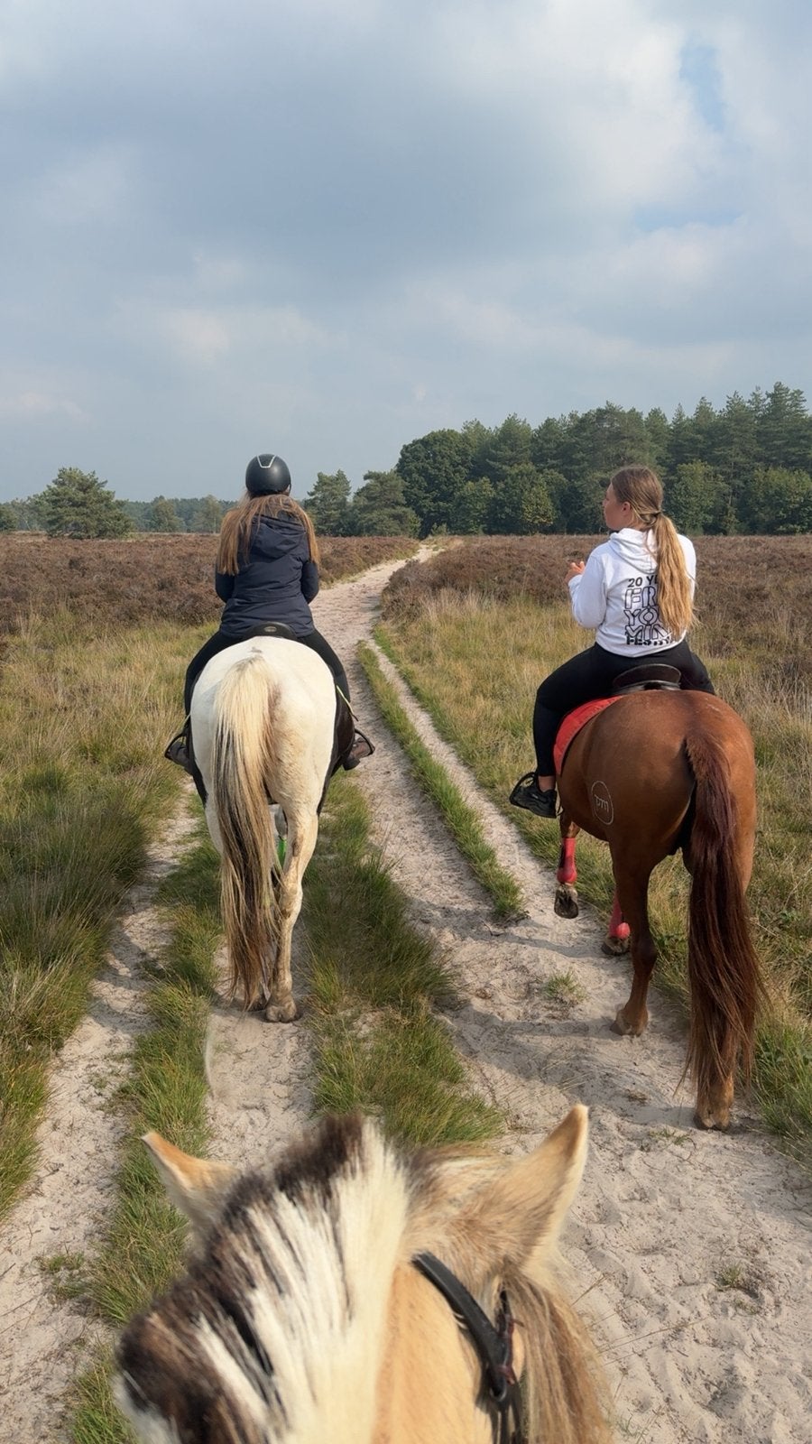 Bosritjes te paard in de Rucphense Bossen, Dieren en Toebehoren, Ophalen of Verzenden