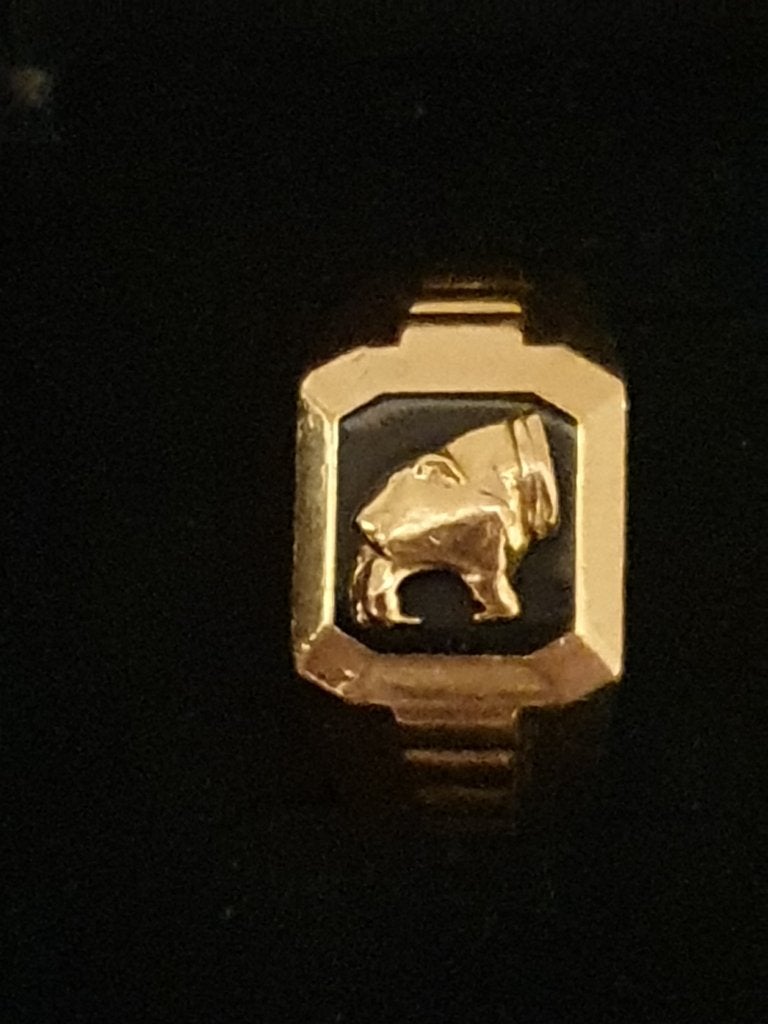 22kraats gouden ring met Panterkop , gewicht 9,5 gram, 20 of groter, Heer, Ophalen of Verzenden, Zo goed als nieuw