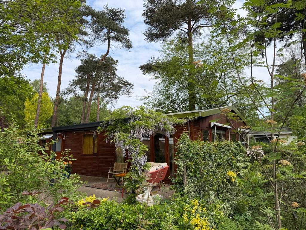Unieke kans: Groot vakantiehuis met 568m2 eigen grond, Vakantie, Vakantiehuizen | Nederland, In bos, Wasmachine, Recreatiepark