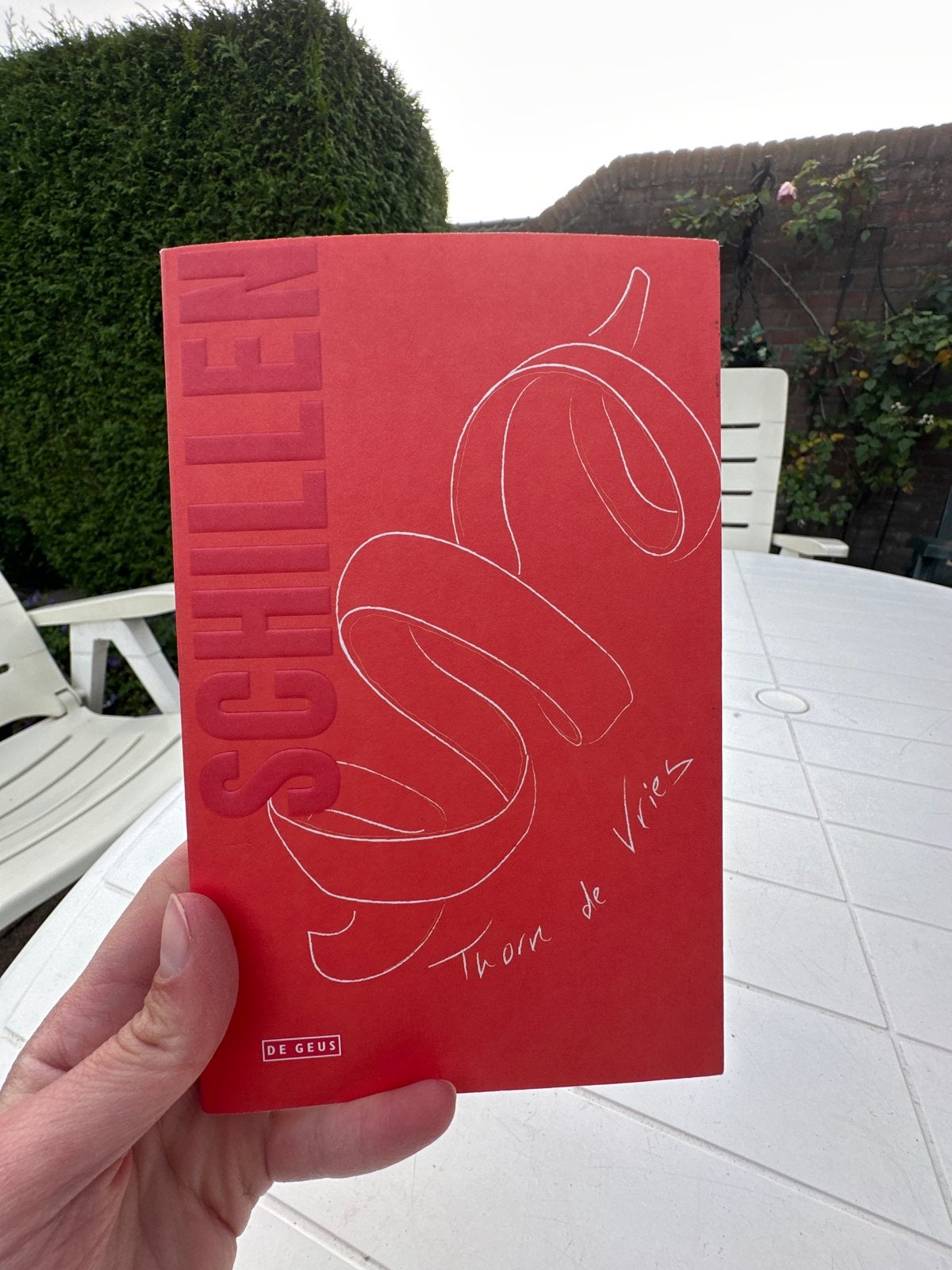 Schillen - Thorn de Vries (De Geus), Boeken, Ophalen of Verzenden, Zo goed als nieuw