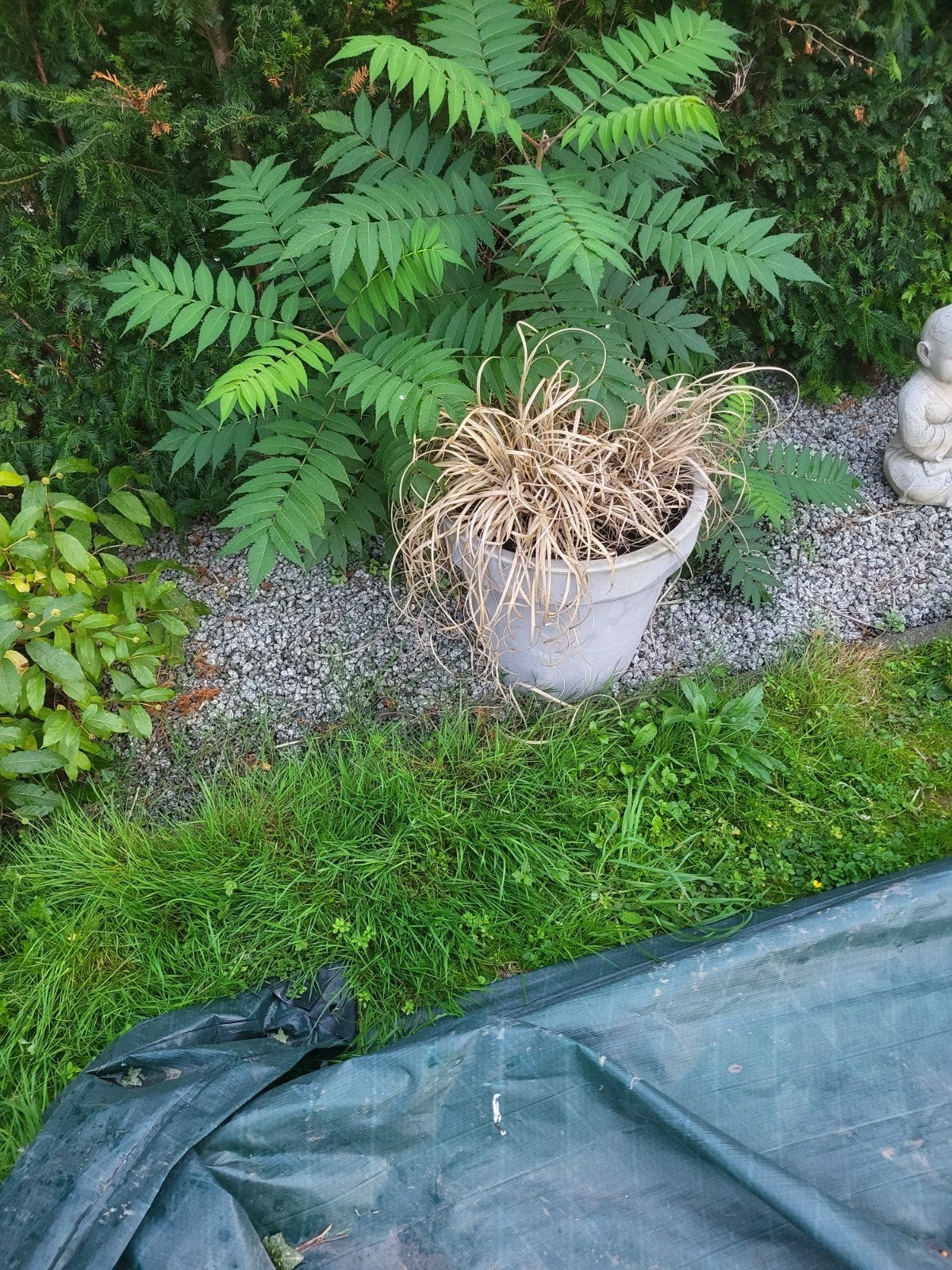 gratis bloempot, Ophalen of Verzenden