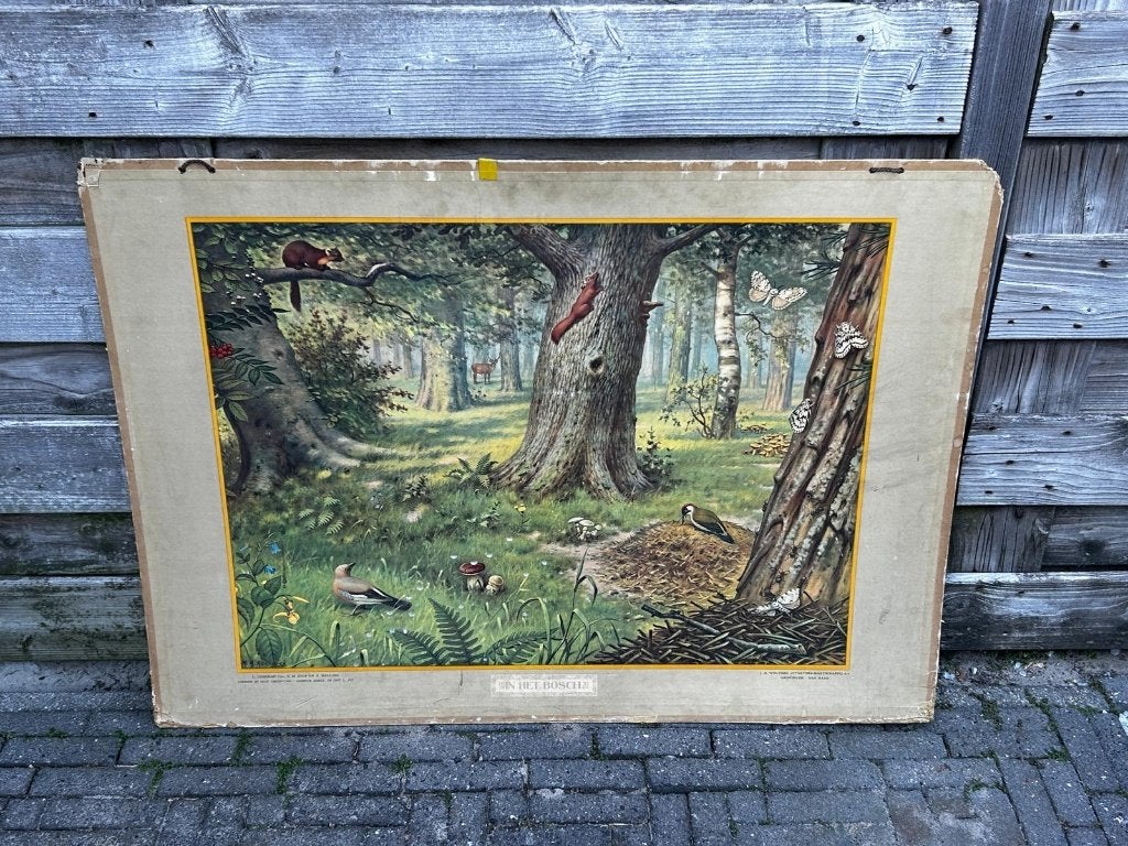 In het bosch, Ophalen of Verzenden, Natuur en Biologie
