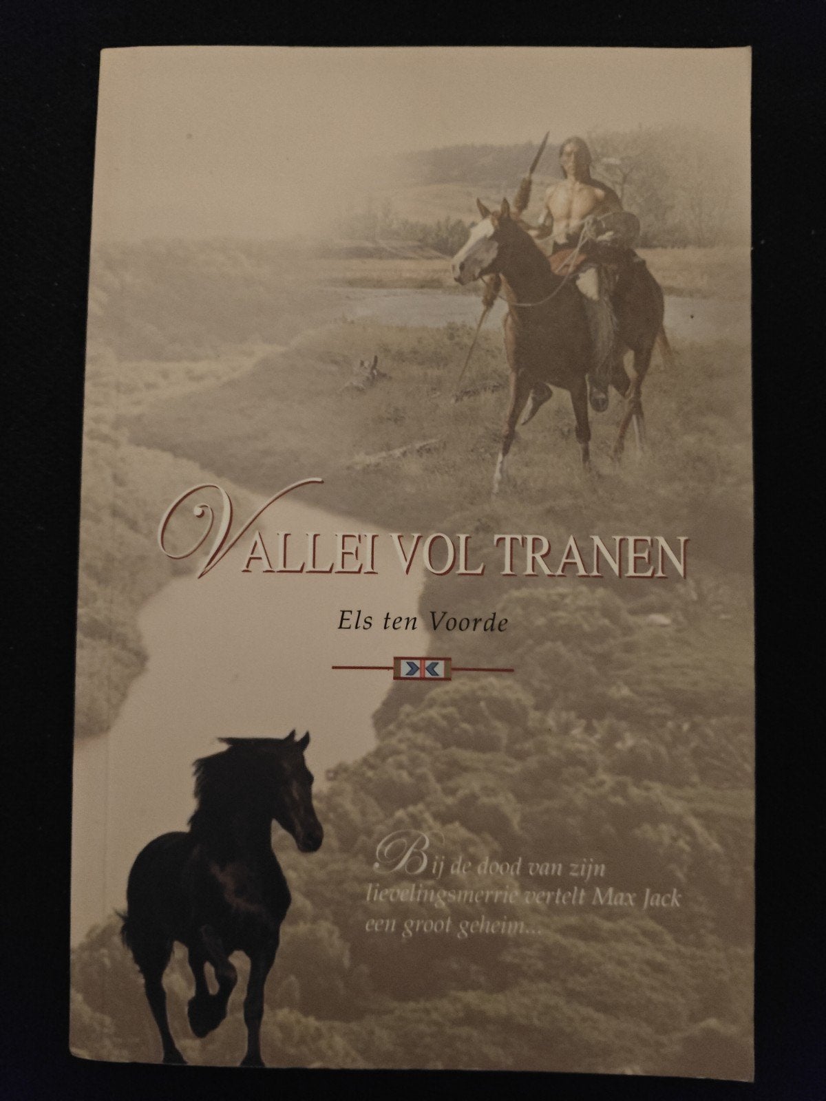 E. ten Voorde - Vallei vol tranen, Nieuw, Ophalen of Verzenden, E. ten Voorde, Nederland