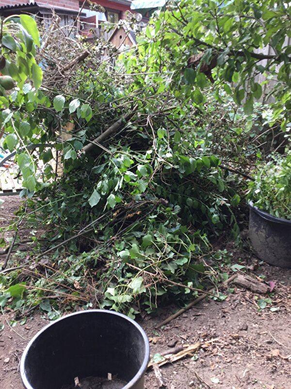 2 student zo 31mei 7juni 13-18u tuin hulp GEZOCHT Uithoorn, Vacatures, Starter, Overige vormen, Overige uren, Overige niveaus