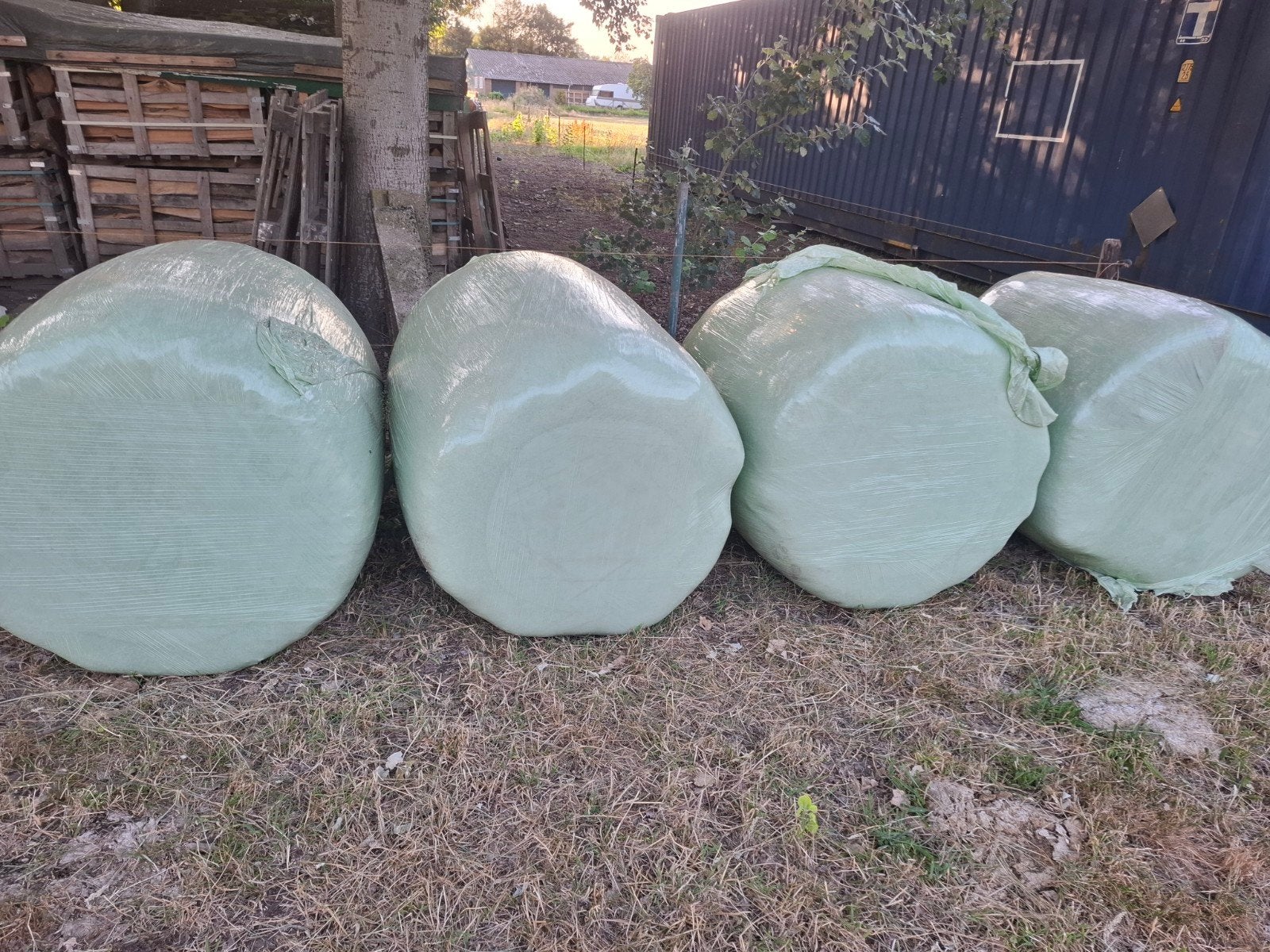 Balen hooi voordroog