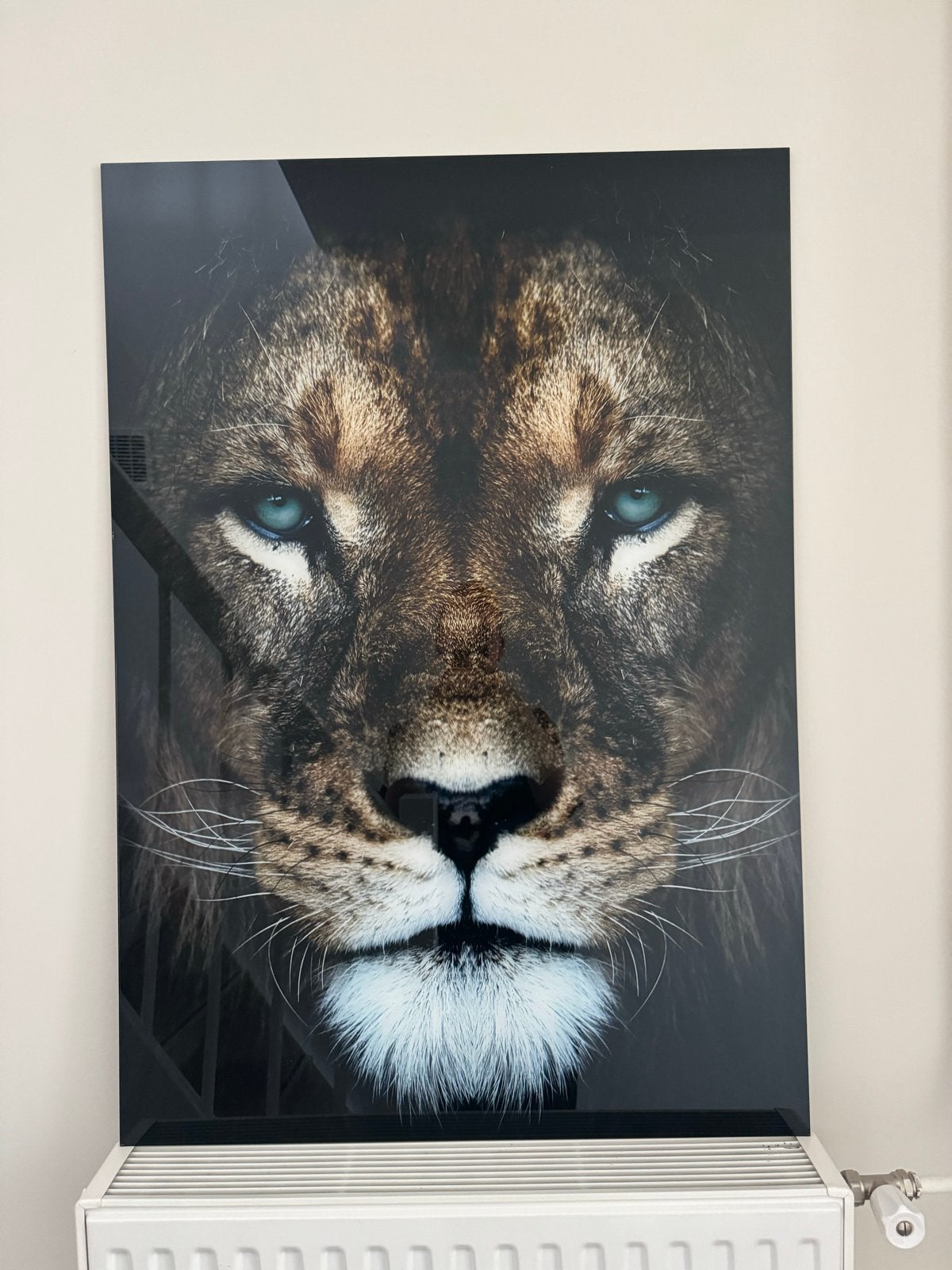 Prachtige Leeuwenkop Print op Plexiglas, Huis en Inrichting, Woonaccessoires | Schilderijen, Tekeningen en Foto's, Ophalen, 75 – 100