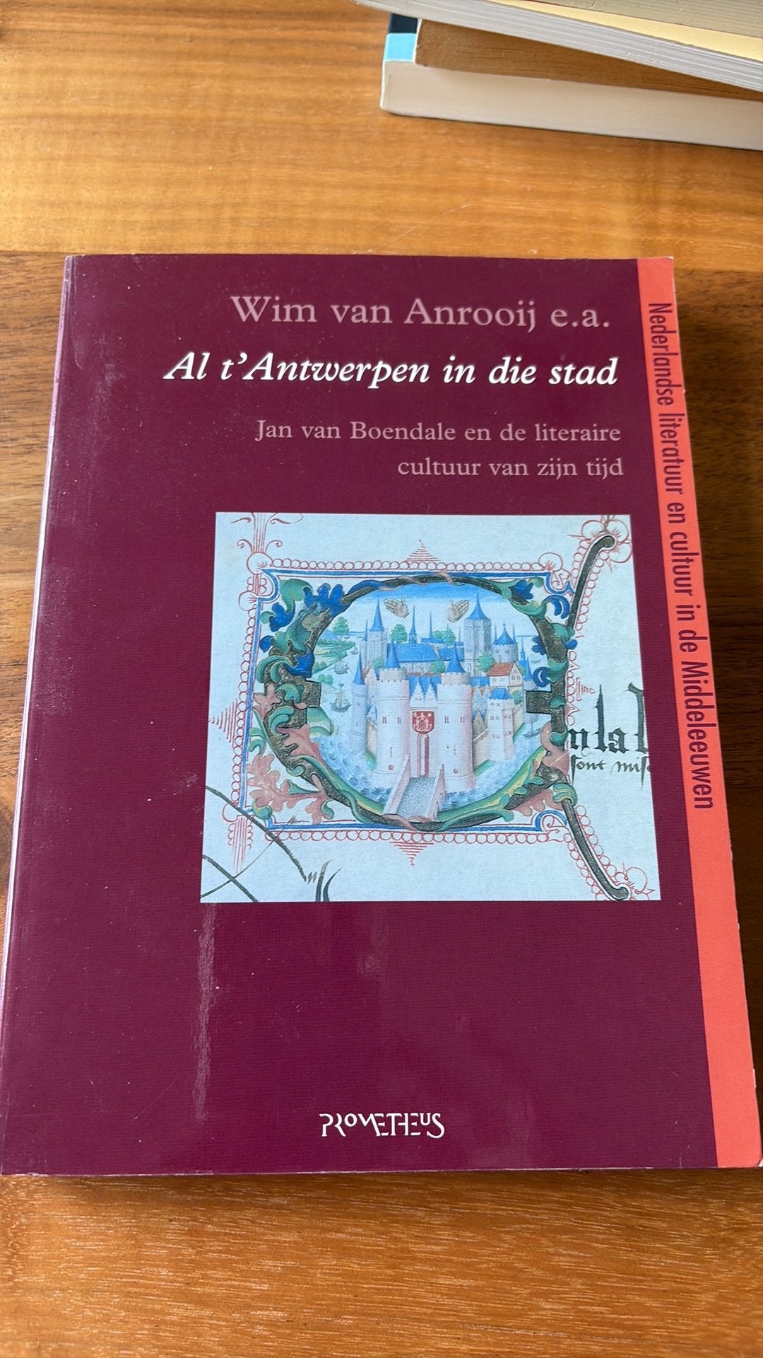 Al t'Antwerpen in die stad, Ophalen of Verzenden, Zo goed als nieuw, Sociale wetenschap