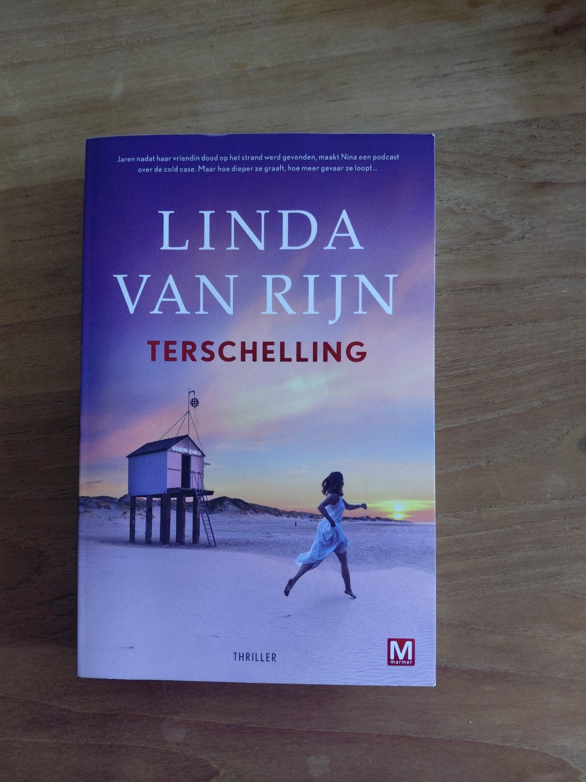 Linda van Rijn - Diverse literaire thrillers (per stuk), Ophalen of Verzenden, Gelezen, Linda van Rijn, Nederland