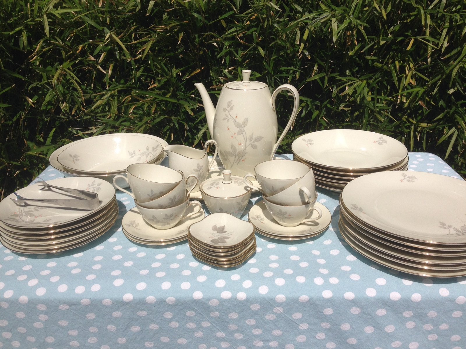 Seltmann Weiden Bavaria servies, porcelein, 6 pers., Ophalen of Verzenden