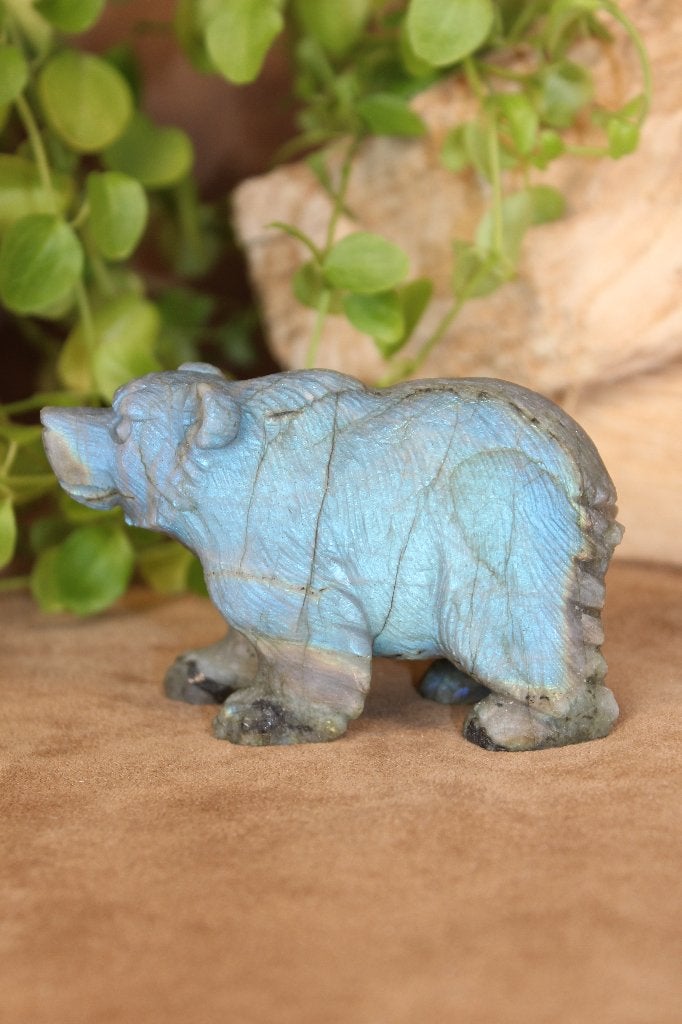 Labradoriet beer carving uit Madagaskar, Ophalen of Verzenden, Mineraal