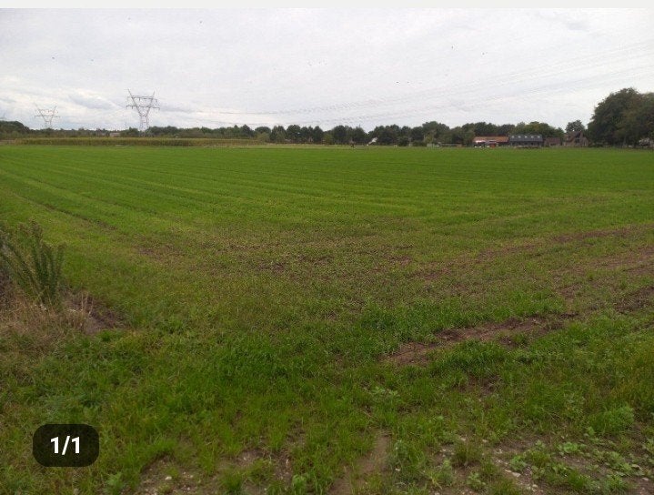 landbouwgrond, weiland, bouwland