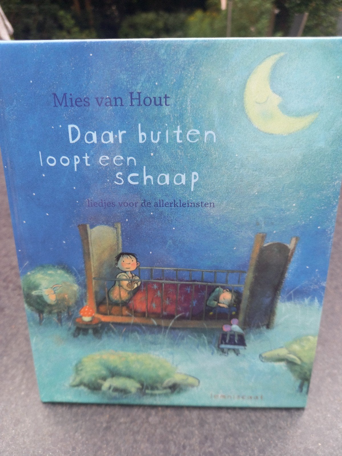 Daar buiten loopt een schaap, Boeken, Ophalen of Verzenden, Zo goed als nieuw, Mies van Hout, Prentenboek