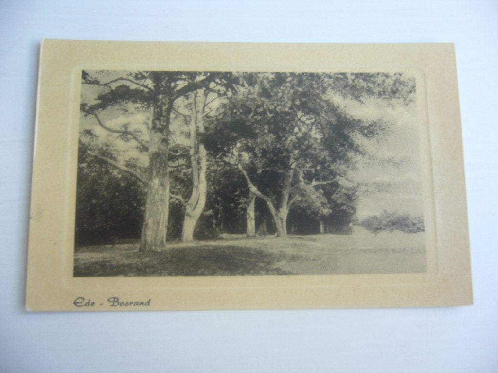 EDE  =  BOSRAND, Ophalen of Verzenden, 1940 tot 1960, Ongelopen, Gelderland