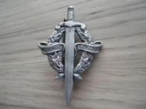 Brevet Insigne,  Militaire Elémentaire "Honneur et Patrie, Verzenden, Overige soorten, Overige gebieden, Embleem of Badge
