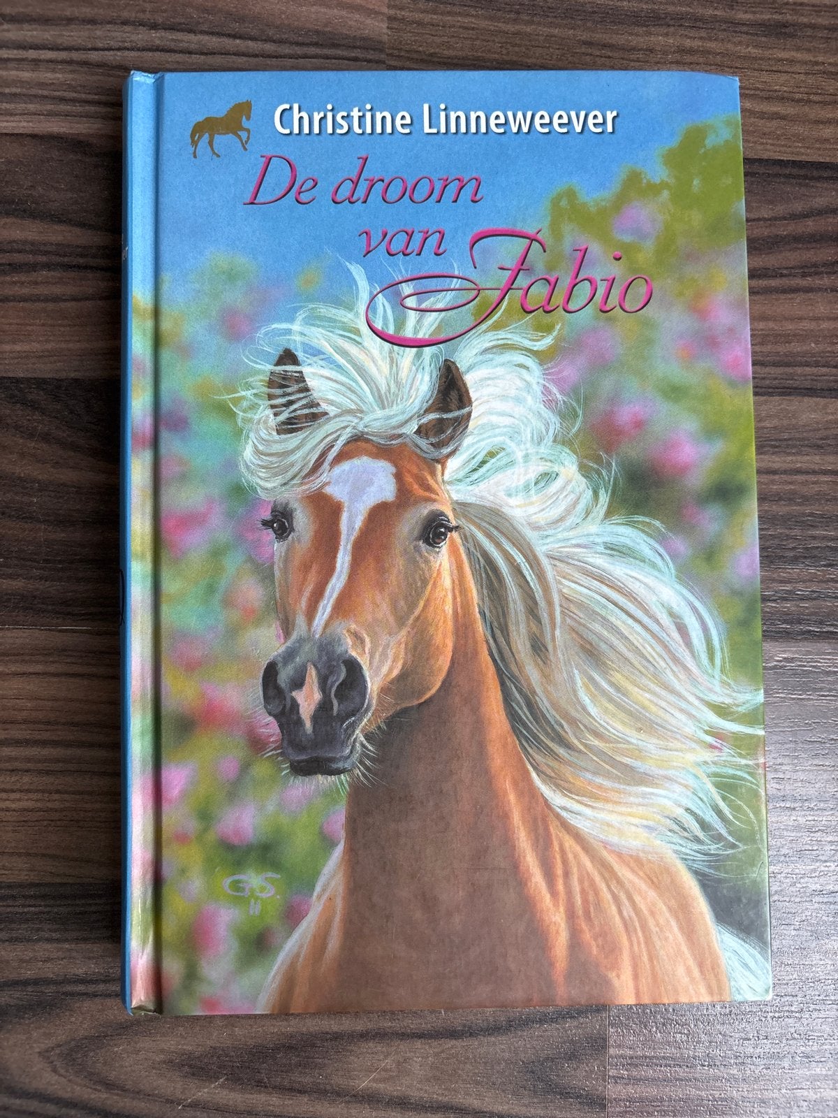 De droom van Fabio - Christine Linneweever, Boeken, Ophalen, Zo goed als nieuw, Fictie algemeen