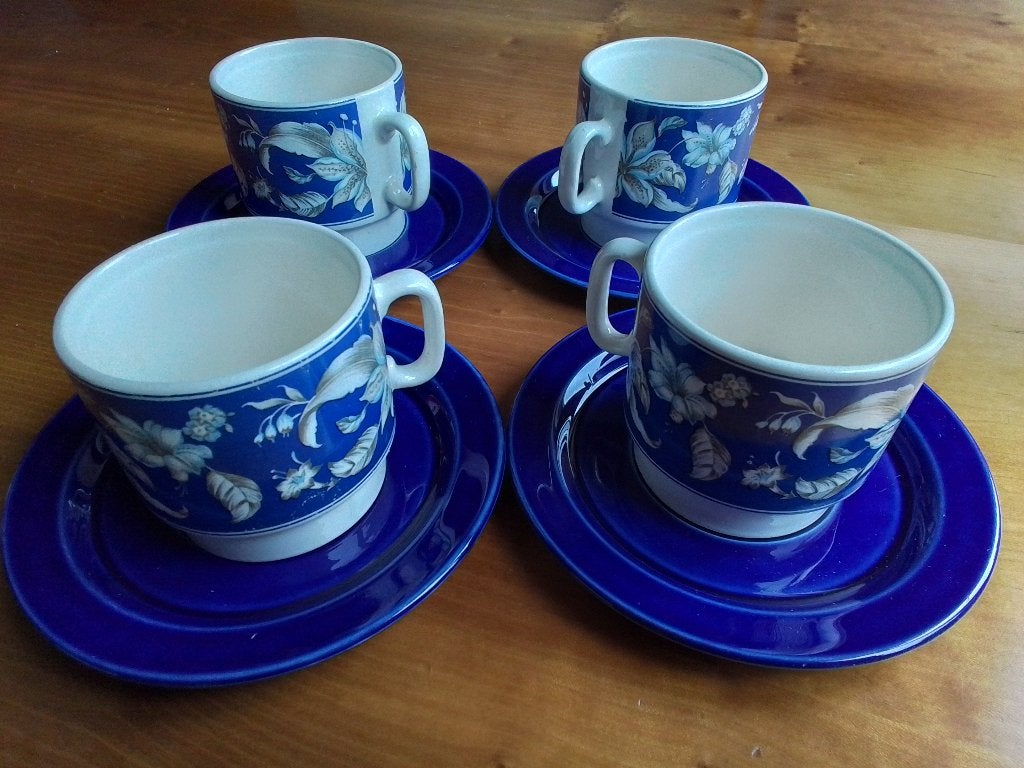 Vintage kopjes en schotels Pagnossin Treviso Italië, Ophalen of Verzenden