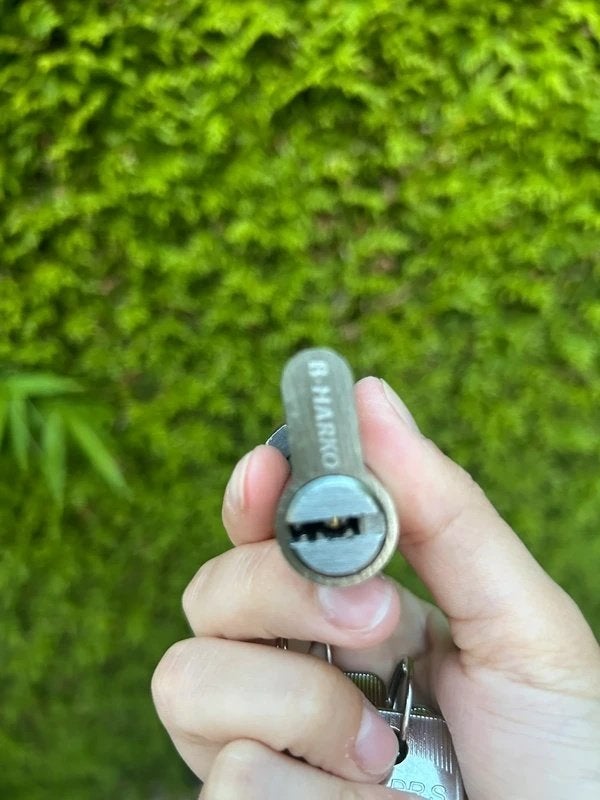 Metal lock with cylinder, Ophalen of Verzenden, Zo goed als nieuw, Rvs, Slot