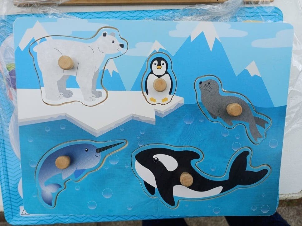 Houten Puzzels voor Peuters - Per Stuk of als Set, Kinderen en Baby's, Speelgoed | Kinderpuzzels, Ophalen of Verzenden, Minder dan 10 stukjes