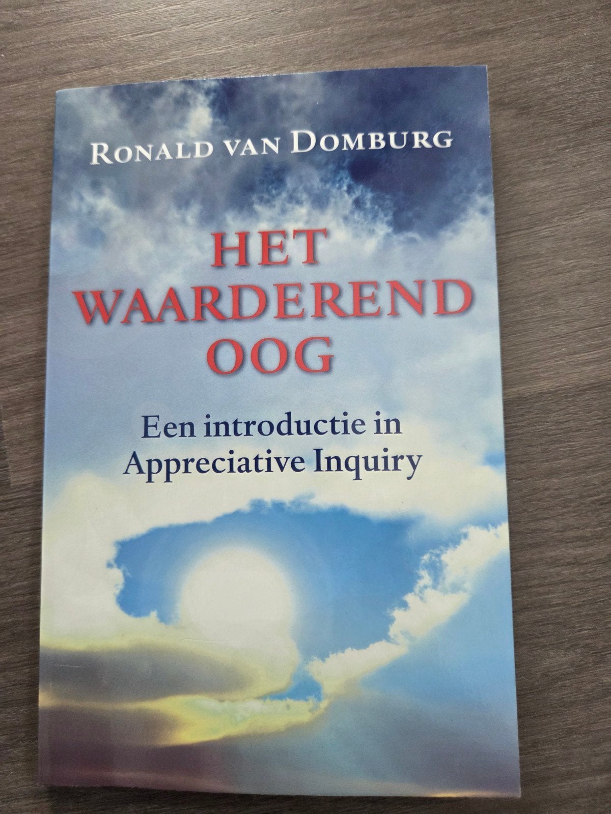 R. van Domburg - Het waarderend oog, Ophalen of Verzenden, Zo goed als nieuw, R. van Domburg